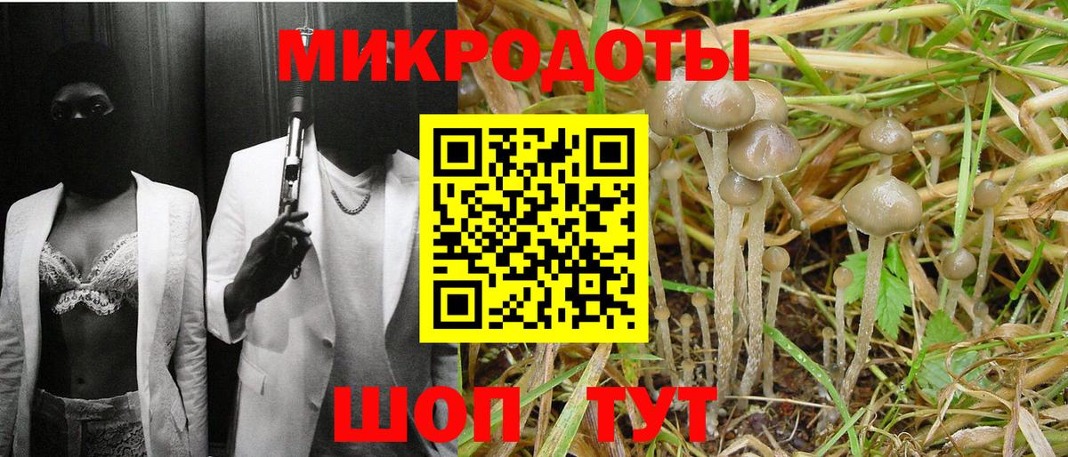 Псилоцибиновые грибы Psilocybe  Вход с VPN  Гулькевичи  Псилоцибиновые грибы Psilocybine cubensis 