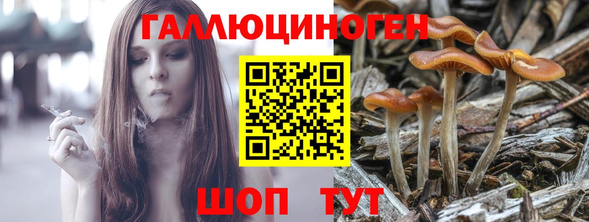 Псилоцибиновые грибы ЛСД Гулькевичи